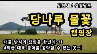 [당진시]_ 당나루 물꽃 캠핑장 / 예약_ 전화 / 충남 당진시 고대면 당진포리