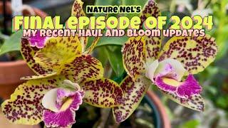 The last video of the year! Check out my last haul from OFE Plant Fair, plus a great bloom update.