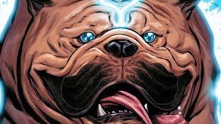 Top 10 Best Superhero Animal Sidekicks