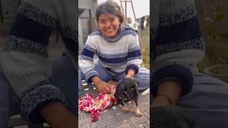 New puppy aa gaya #vlog #minivlogs #dailyvlogs #lifestyle