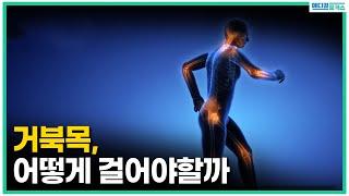 거북목, 평소 어떤 자세와 습관을 가져야할까요? 스트레칭법 알려드립니다! [메디컬포커스]