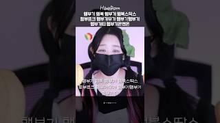 햄부기햄북 햄북어 햄북스딱스 #햄부기