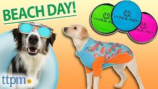 Amazon MUST-HAVES For You & Your Dog's Next Beach Day! | TTPM Pet