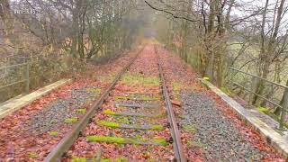 Lost Places: Die vergessene Bahnstrecke Nienburg (Weser) - Sulingen (Andi TV 115)