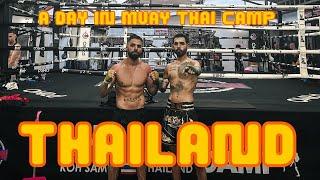 Muay Thai Camp In Thailand | Lamai Muay Thai Koh Samui