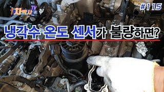 차박사TV_115회 냉각수 온도 센서가 불량하면? What if the coolant temperature sensor is bad?