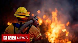 Climate Change: How much did it cost US economy in 2020? - BBC News