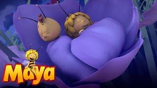 No Sleep for the Bees - Maya the Bee