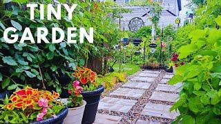 Relaxing Tiny Garden Plants and Flowers Tour #garden #gardening #gardentour #plants #flowers #new