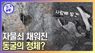 용두산 자락 해발 430m 점말 동굴의 비밀?