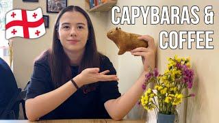 Are skyscrapers ruining the vibe? Batumi, Georgia vlog: birds, coffee and capybaras