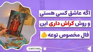 فال پلاس-نباید این فال کراش رو می‌گرفتم  از دقتش حیرت زده میشی  همه چیز درباره تو و کراشت