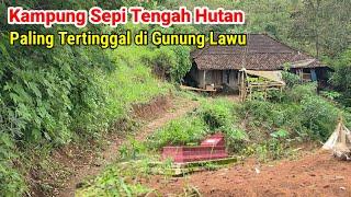 Kampung Siang Sepi Apalagi Malam di Tengah Hutan Wonogiri