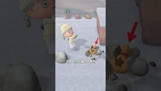 모동숲 화나는 순간들 Best 10