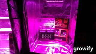 Kind LED Grow Lights Lamps at Indo Expo