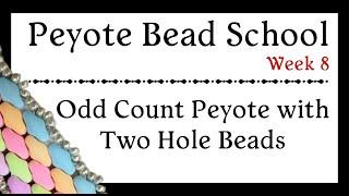 Odd Count Peyote with Two Hole Beads - Peyote Bead School - Week 8