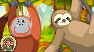 Learn About Endangered Animals! | Animal Songs For Kids | KLT WILD