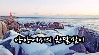 2021 01 09  강원도 양양 한달살기