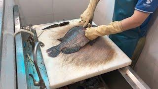 Tilapia Fish Cleaning and Cooking in Vietnam - Tilapia for Vietnam Street Food