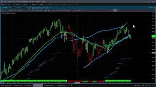 Asset Revesting Quarterly Analysis
