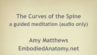 Curves of the Spine - Guided Meditation - Amy Matthews [EmbodiedAnatomy.net]