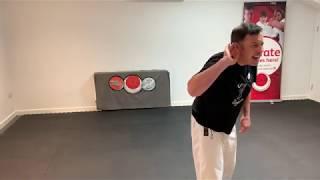 Tiny Tigers Basics & Partner Work with Sensei Jason