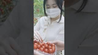 푸르메 힐링농장 스케치  | 푸르메재단×마비노기×넥슨재단