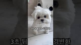 마지막까지 보세요 ㅋㅋㅋ