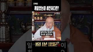 깨달았을 때 부처님과 우리들의 차이점 #shorts #어나더레벨 #돈오돈수