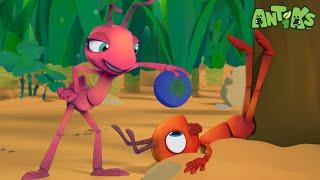 Joey & Boo’s Tasty Buffet Adventure! ️| Antiks | Animals And Creatures Cartoon In Hindi हिन्दी