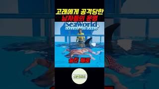 고래에게 공격당한 남자들의 엇갈린 운명
