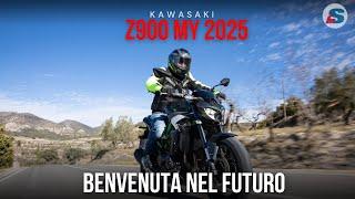 Kawasaki Z900 model year 2025