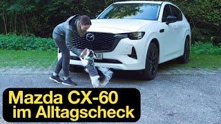 Der Mazda CX-60 PHEV "Homura" gegen die Probleme des Alltags [4K] - Autophorie