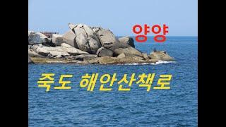 865탄 (220420)  강원도 양양 인구항 죽도 해안산책로 부채바위 신선대  죽도전망대  죽도정
