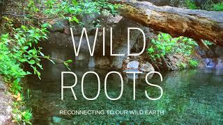 Wild Roots Podcast