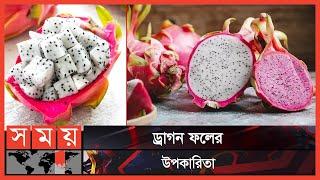 রক্তশূন্যতা দূর করে ড্রাগন ফল | Dragon Fruit | Somoy TV