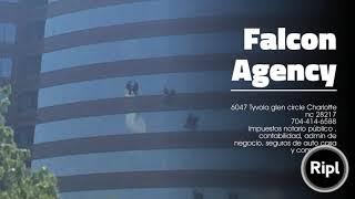 Falcon Agency