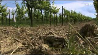 Wein und Tafel im Museumsdorf Niedersulz