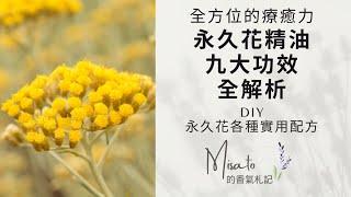 永久花精油九大功效全解析！聽完該收一支來好好用一下！