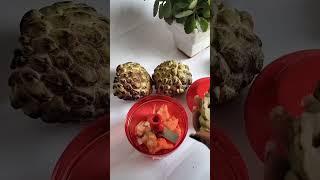 How to deseed a Custard Apple hack