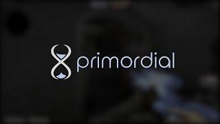 V2 RELEASE primordial.dev BETA highlights | ac130