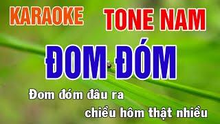 Đom Đóm Karaoke Tone Nam Nhạc Sống - Phối Mới Dễ Hát - Nhật Nguyễn