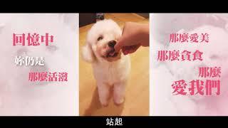 女兒綿花糖紀念片段
