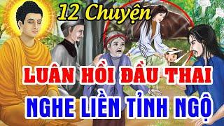 12 Chuyện Nhân Quả Phật Giáo, LUÂN HỒI ĐẦU THAI Báo Oán Đòi Nợ...Nghe Để Tránh | Chuyện Nhân Quả