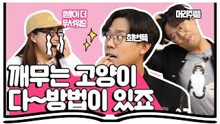 고양이님 제 팔보다 더 맛난 걸 준비했사옵니다 EP.10 [집사의 정석]