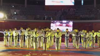 태권도 시범 공연(5) Taekwondo Demonstration Performance