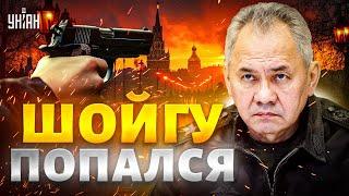 Гудит вся Россия! Шойгу ПОПАЛСЯ. Громкий "РАССТРЕЛ" в Кремле: клан оленевода РАЗОБЛАЧИЛИ