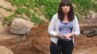 Rainwater Harvesting System Demonstration