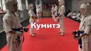 СК Каратэ Киокушинкай