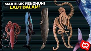 Bukti Dunia Bawah Laut Penuh Keajaiban! Inilah Makhluk² Raksasa yang Hidup di Lautan